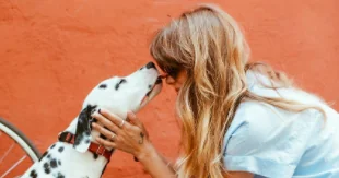 I cani riconoscono il volto del padrone anche in foto